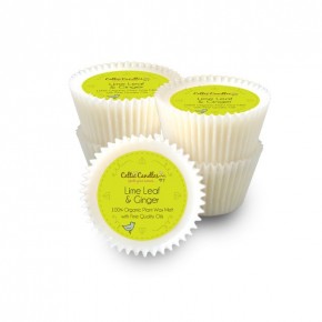 Wax Melt - Lime Leaf & Ginger box of 24