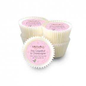 Wax Melt - Pink Grapefruit & Champagne box of 24