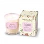 9cl Votive Pink grapefruit and champagne