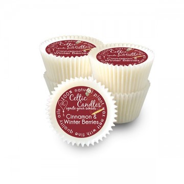 Large Wax Melt Cinnamon and winter berry